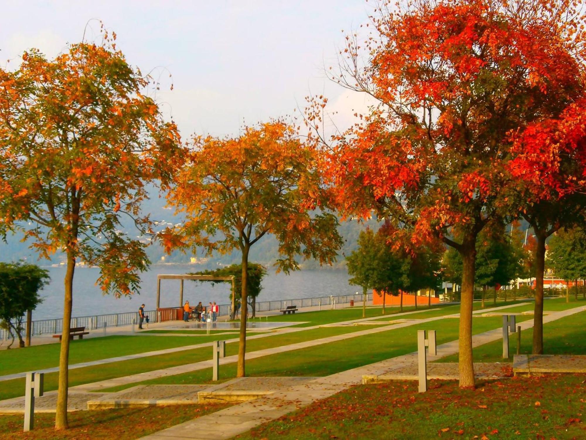 Lago Maggiore Holiday House, Lake View, Vignone Dumenza Екстериор снимка