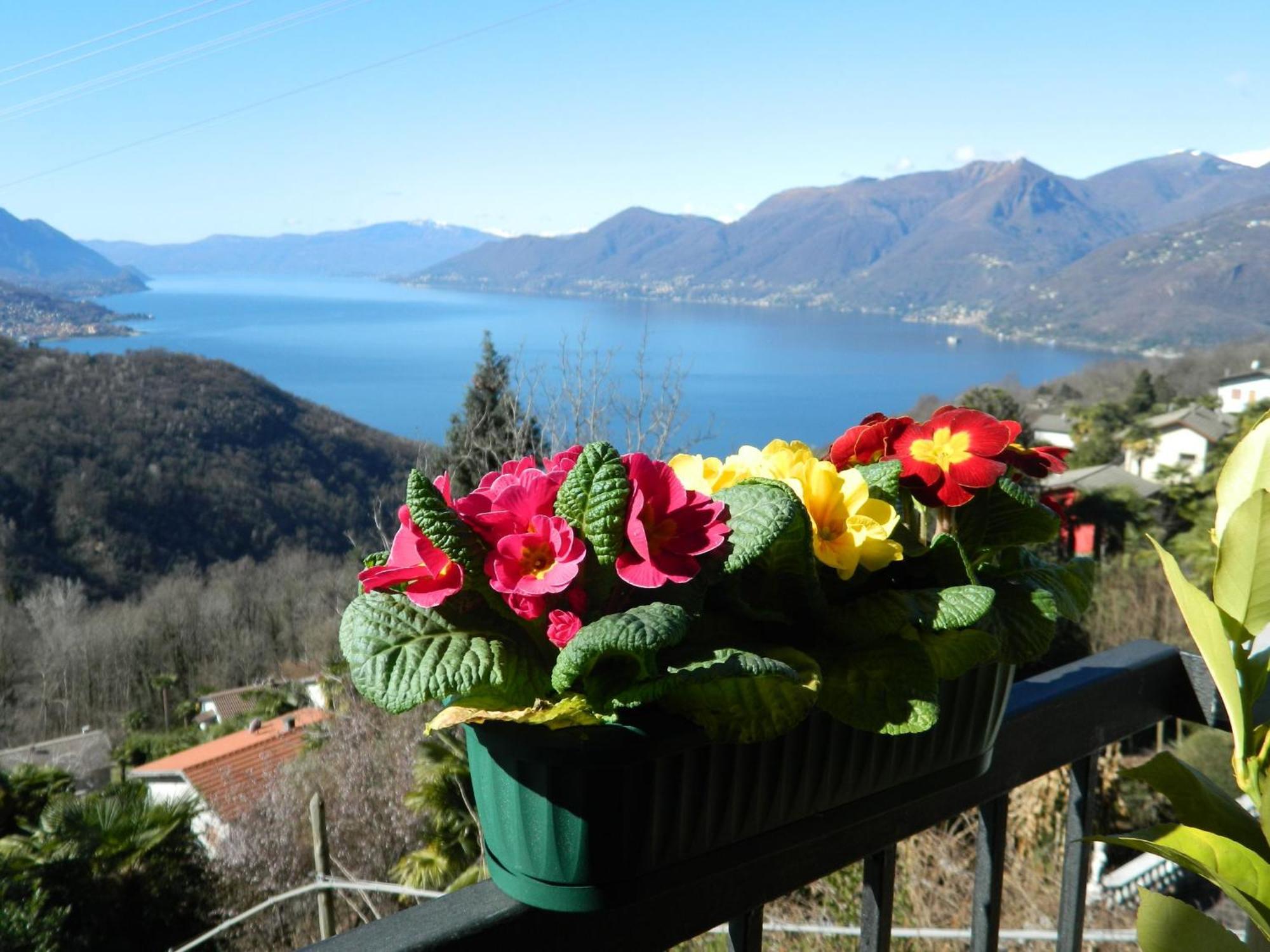Lago Maggiore Holiday House, Lake View, Vignone Dumenza Екстериор снимка